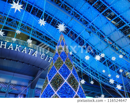 Christmas tree in front of JR Fukuoka Station 116524647