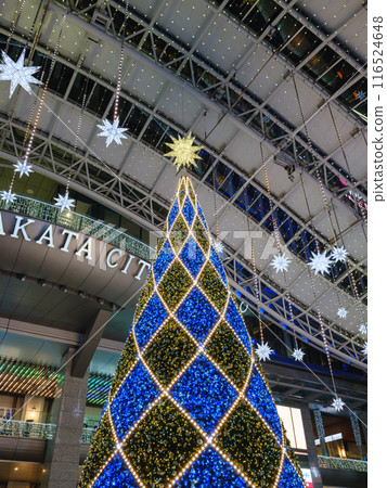 Christmas tree in front of JR Fukuoka Station 116524648