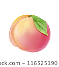 Illustration of peach 116525190