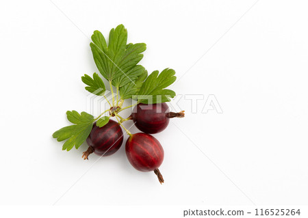 fresh red gooseberry isolated on white background, top view 116525264