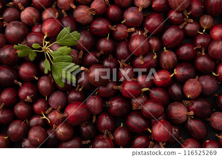 fresh red gooseberry as background, top view 116525269