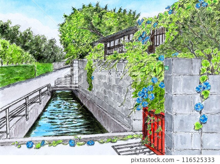 牽牛花盛開的房子 牽牛花盛開的房子 116525333