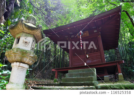 高崎市:清水寺 高崎市:清水寺 116525358