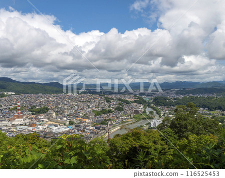 夏季藍天和沿河的城市景觀 116525453