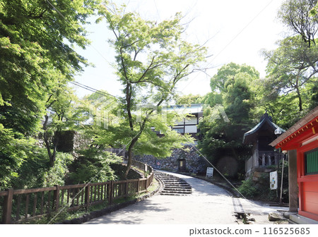 Inuyama Castle, Matsunomaru Gate ruins (Inuyama City, Aichi Prefecture) Inuyama Castle, Matsunomaru Gate ruins (Inuyama City, Aichi Prefecture) 116525685