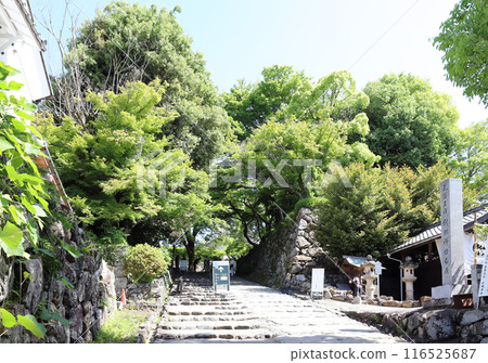 犬山城步槍塔(愛知縣犬山市) 犬山城步槍塔(愛知縣犬山市) 116525687