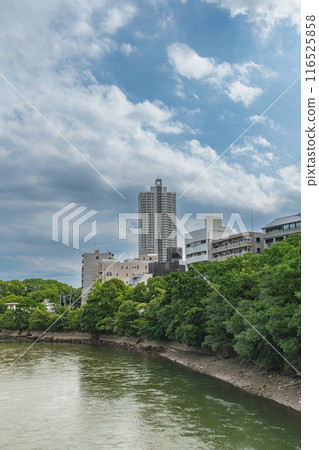 Landscape with river Landscape with river 116525858