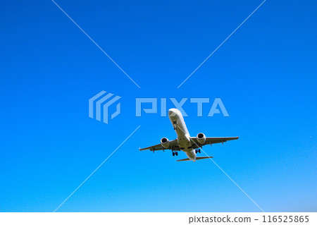 Flight Flight 116525865