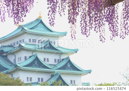 名古屋城堡塔樓和紫藤花 116525874