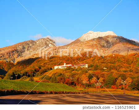 從赤倉溫泉看到的妙高山的紅葉和初雪 116525901