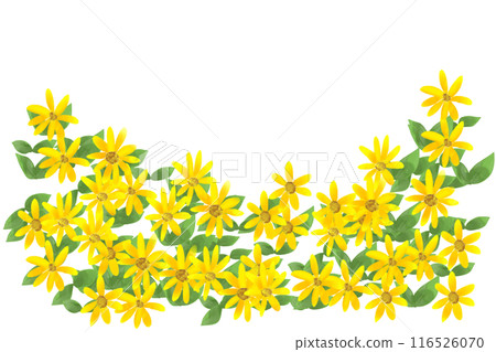 菊芋花卡 2 菊芋花卡 2 116526070