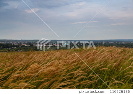 Yelabuga city from a bird's eye view Yelabuga city from a bird's eye view 116526186
