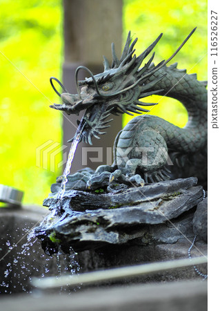 Dragon Chozuya Dragon Chozuya 116526227