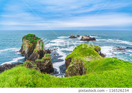 [Hokkaido, Hama-naka Town] Cape Kiritappu (Cape Yufutsu) jutting out into the Pacific Ocean 116526234