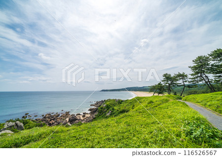 ``Aomori Prefecture'' Beautiful scenery of Nakasuka coast Tanesashi coast 116526567