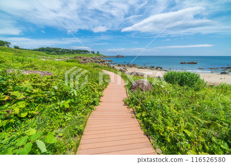 ``Aomori Prefecture'' Beautiful scenery of Nakasuka coast Tanesashi coast 116526580