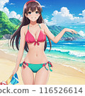 A swimwear young woman at the beach 116526614