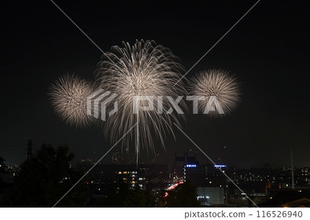 20234.07.03 TOKYO City Pop 煙火2024 東京賽馬場煙火 116526940