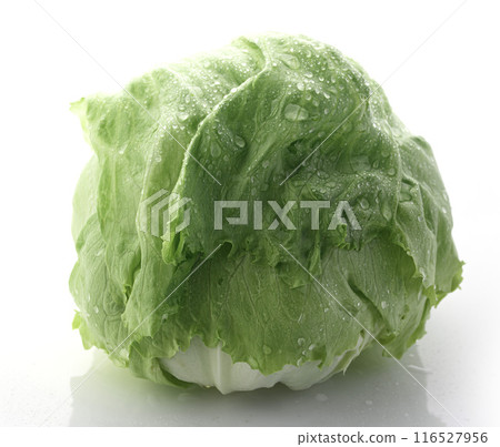 新鮮的生菜 116527956