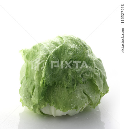 新鮮的生菜 116527958