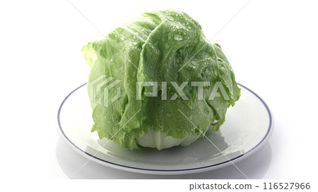 新鮮的生菜 116527966