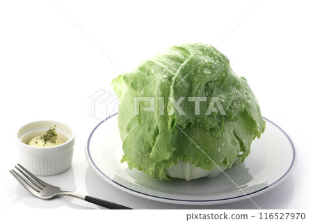 Fresh Lettuce Fresh Lettuce 116527970