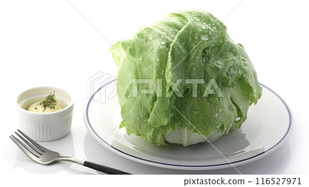 新鮮的生菜 116527971