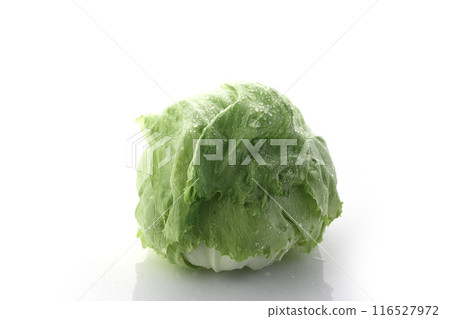 Fresh Lettuce 116527972