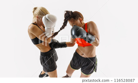 Women athletes locked in a close and fierce boxing battle, punching and standing in defensive stances isolated on white background 116528087