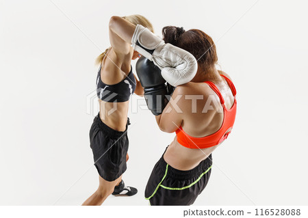 Women athletes locked in a close and fierce boxing battle, punching and standing in defensive stances isolated on white background 116528088