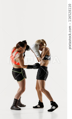 Strong and competitive women, boxing athletes in sportswear and gloves, fighting with intensity isolated on white background 116528110