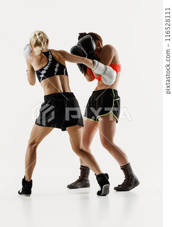 Strong and competitive women, boxing athletes in sportswear and gloves, fighting with intensity isolated on white background Strong and competitive women, boxing athletes in sportswear and gloves, fighting with intensity isolated on white background 116528111