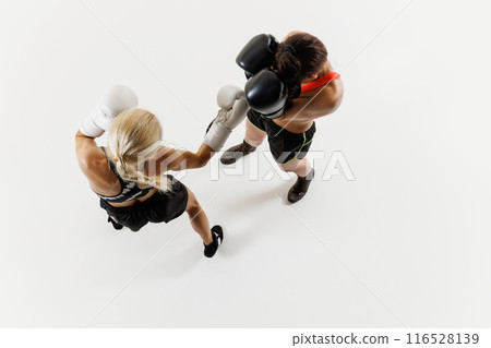 Overhead shot of two women engaging in competitive boxing session, athletic young women in motion isolated on white background 116528139