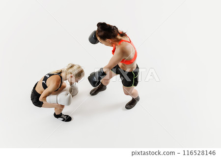 Dynamic boxing scene with two determined female competitors, women in motion, training isolated on white background Dynamic boxing scene with two determined female competitors, women in motion, training isolated on white background 116528146