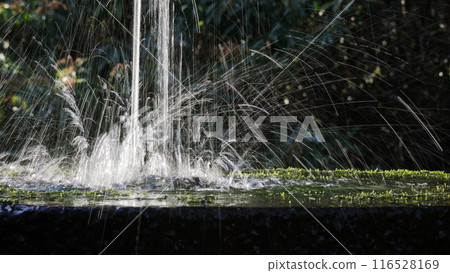 濺噴泉 116528169