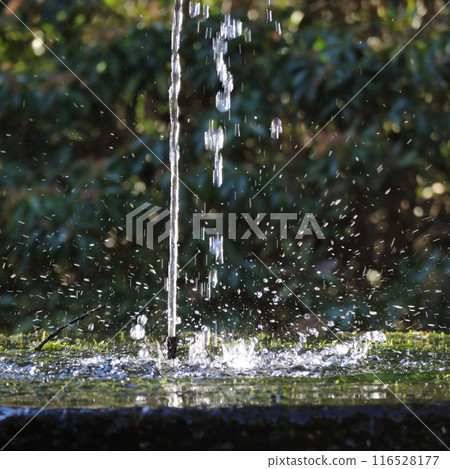 Splashing fountain 116528177
