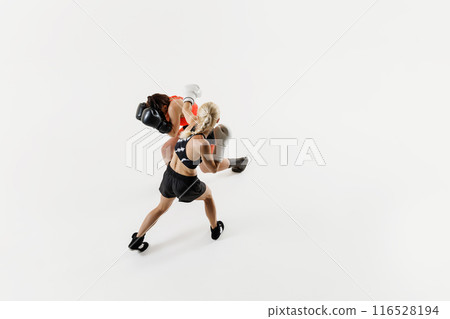 Female boxers in motion deliver powerful punches in an energetic match , training isolated on white background Female boxers in motion deliver powerful punches in an energetic match , training isolated on white background 116528194