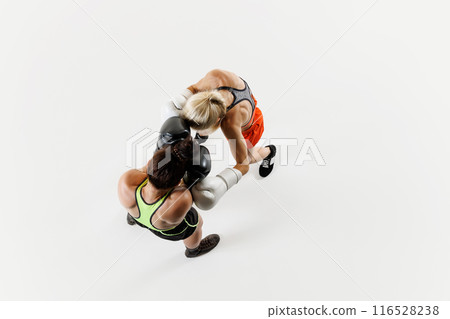 Women, focused boxers in action, displaying athleticism and determination, training isolated on white background. Top view Women, focused boxers in action, displaying athleticism and determination, training isolated on white background. Top view 116528238