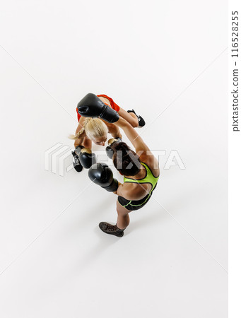 Women, focused boxers in action, displaying athleticism and determination, training isolated on white background. Top view Women, focused boxers in action, displaying athleticism and determination, training isolated on white background. Top view 116528255