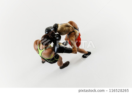 Top view of two athletic young women engaged in dynamic boxing match, competing for the victory isolated on white background 116528265
