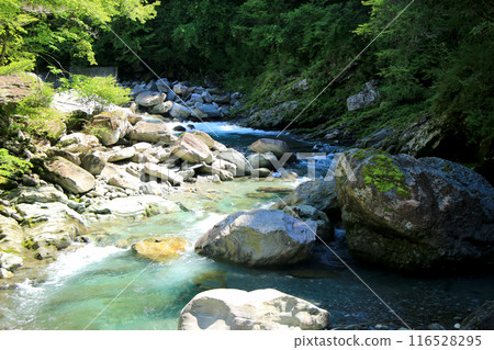 The clear waters of the Asemi River flowing through a valley of folded metamorphic rocks 116528295