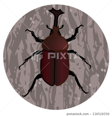 甲蟲圖 116528350