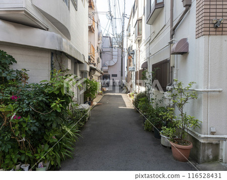 Scenery of a back alley where houses are densely packed 116528431