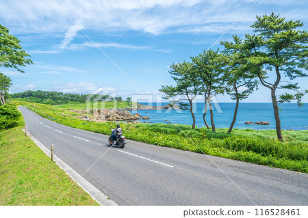 成為青森縣八戶市田上海岸海岸開木東山的“道路”的主題的風景 成為青森縣八戶市田上海岸海岸開木東山的“道路”的主題的風景 116528461