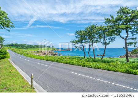 成為青森縣八戶市田上海岸海岸開木東山的“道路”的主題的風景 成為青森縣八戶市田上海岸海岸開木東山的“道路”的主題的風景 116528462