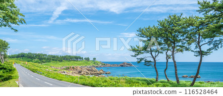 Scenery that became the motif of the "road" of Kaiki Higashiyama, Tanesashi Coast, Hachinohe City, Aomori Prefecture 116528464