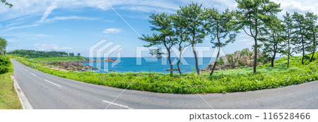 Scenery that became the motif of the "road" of Kaiki Higashiyama, Tanesashi Coast, Hachinohe City, Aomori Prefecture Scenery that became the motif of the "road" of Kaiki Higashiyama, Tanesashi Coast, Hachinohe City, Aomori Prefecture 116528466