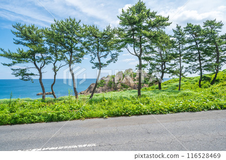 Scenery that became the motif of the "road" of Kaiki Higashiyama, Tanesashi Coast, Hachinohe City, Aomori Prefecture 116528469