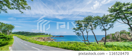 Scenery that became the motif of the "road" of Kaiki Higashiyama, Tanesashi Coast, Hachinohe City, Aomori Prefecture 116528470