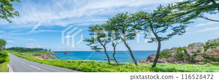 Scenery that became the motif of the "road" of Kaiki Higashiyama, Tanesashi Coast, Hachinohe City, Aomori Prefecture Scenery that became the motif of the "road" of Kaiki Higashiyama, Tanesashi Coast, Hachinohe City, Aomori Prefecture 116528472